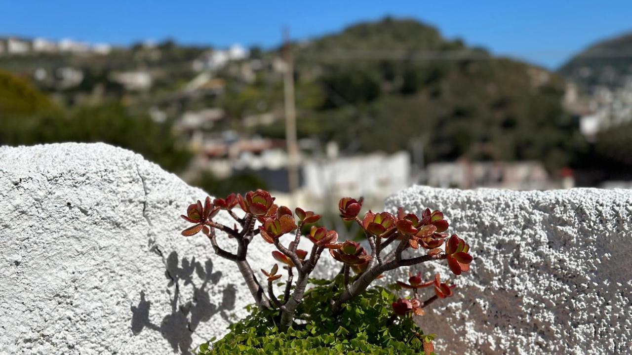 Villa La Milanina Lipari  Exteriér fotografie