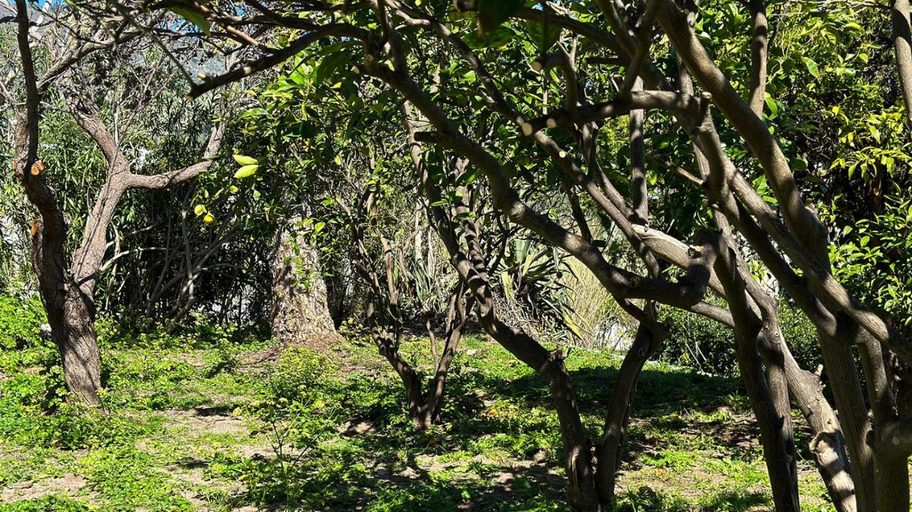Villa La Milanina Lipari  Exteriér fotografie